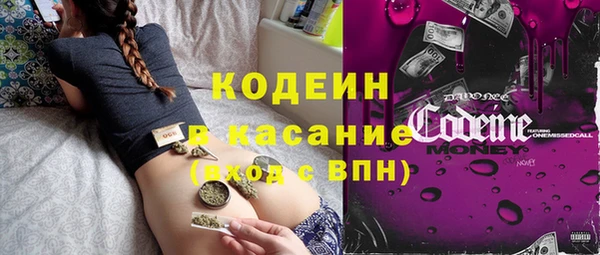 сатива Арсеньев