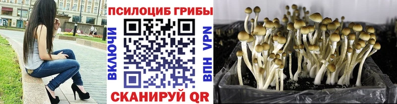 ОМГ ОМГ как войти  Муравленко  это какой сайт  купить  сайты  Галлюциногенные грибы мицелий 