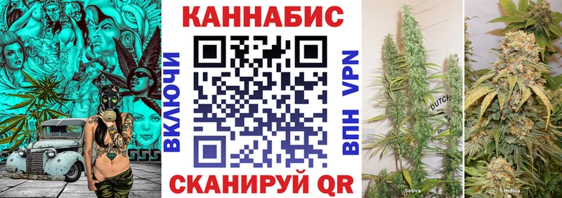 цена   Муравленко  Марихуана Amnesia 